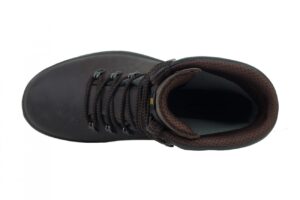 Dobermann 40
